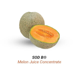 Melon-Juice-Concentrate